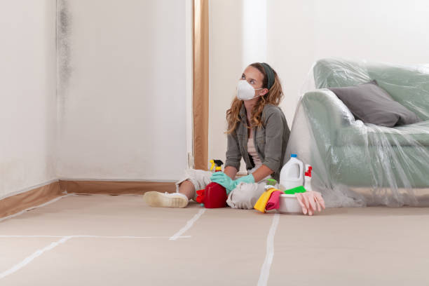 Trusted Black Mold Removal service in Franklin, NC - Cheap Mold Removal